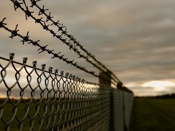 Фото: freepik.com