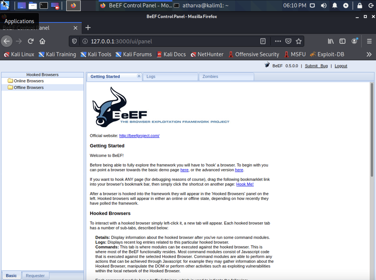 Как выглядит beef framework