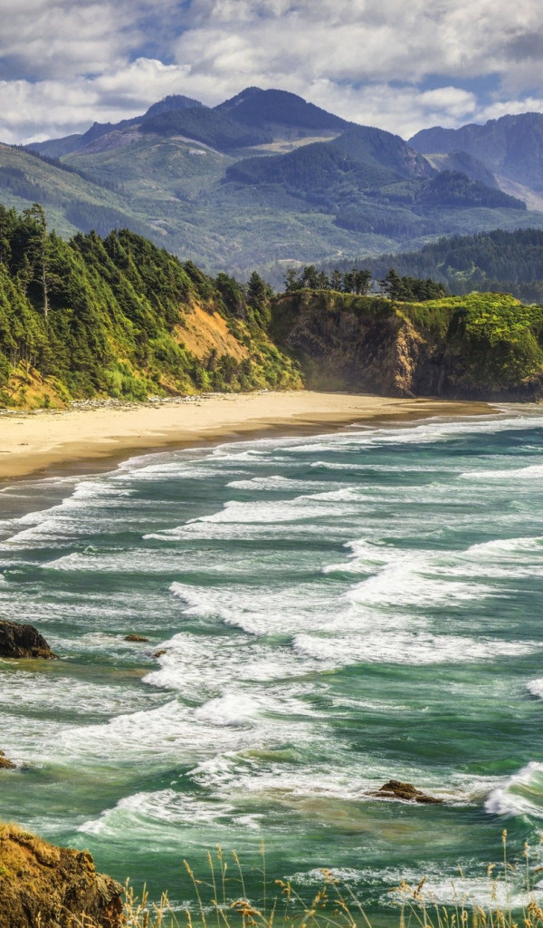 Гостиницы, в которых граждане встречают праздник, предлагают своим постояльцам насыщенную событиями программу развлечений. Изысканное меню на Новый год разрабатывается поварами заведений, исходя из вкусовых предпочтений тех, кто решил провести долгожданную ночь вдали от дома. Кроме гастрономических удовольствий, вниманию туристов предлагается насыщенная культурная и развлекательная программа, которая придется по нраву не только взрослым, но и детям.