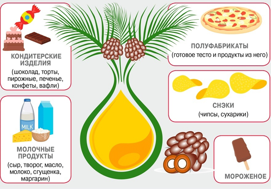 Топ 5 продуктов, в которые чаще всего добавляют пальмовое масло