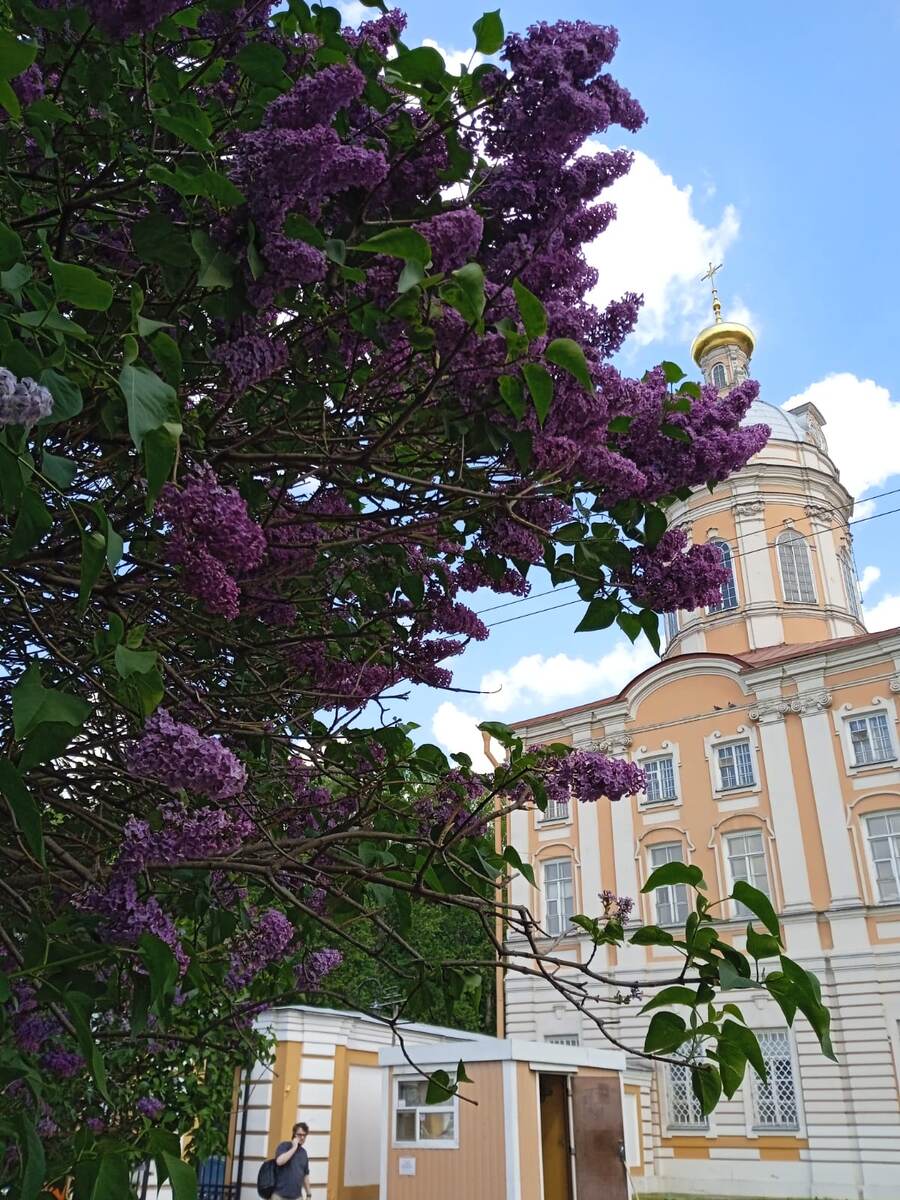 Фото автора 