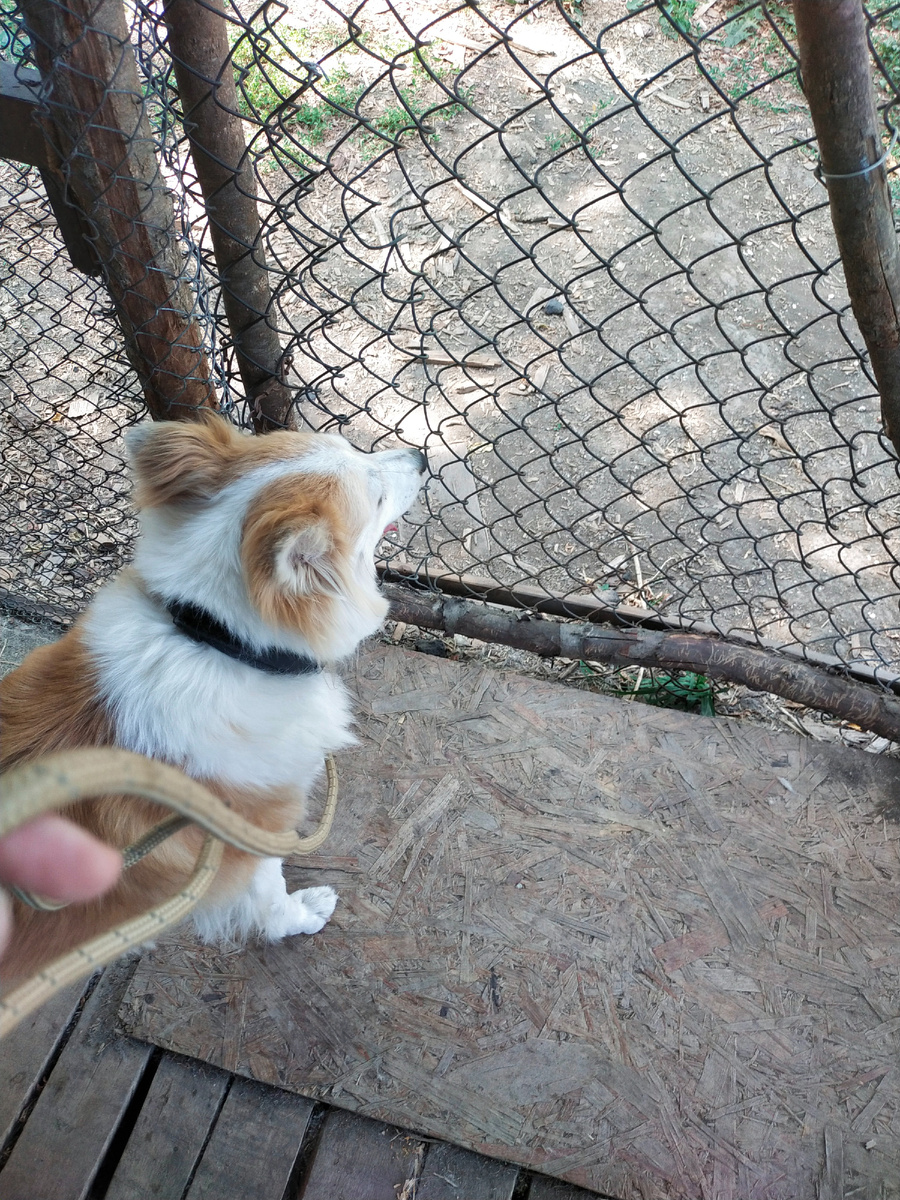 Приходим в нужное место 