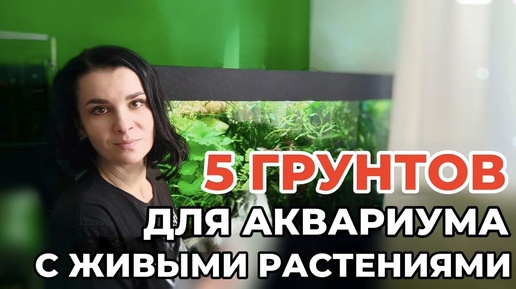 Грунты для аквариума с живыми растениями