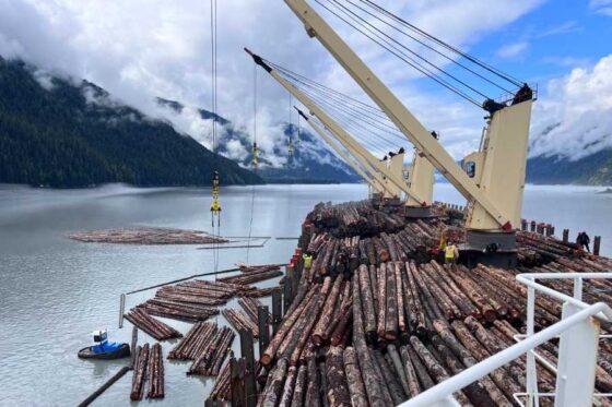     Фото: Азербайджанское Каспийское морское пароходство.