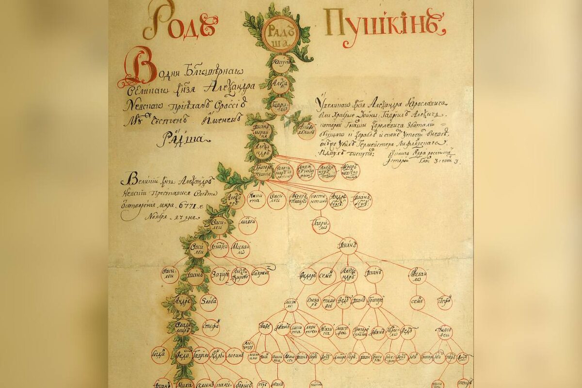 Родословная А.С. Пушкина