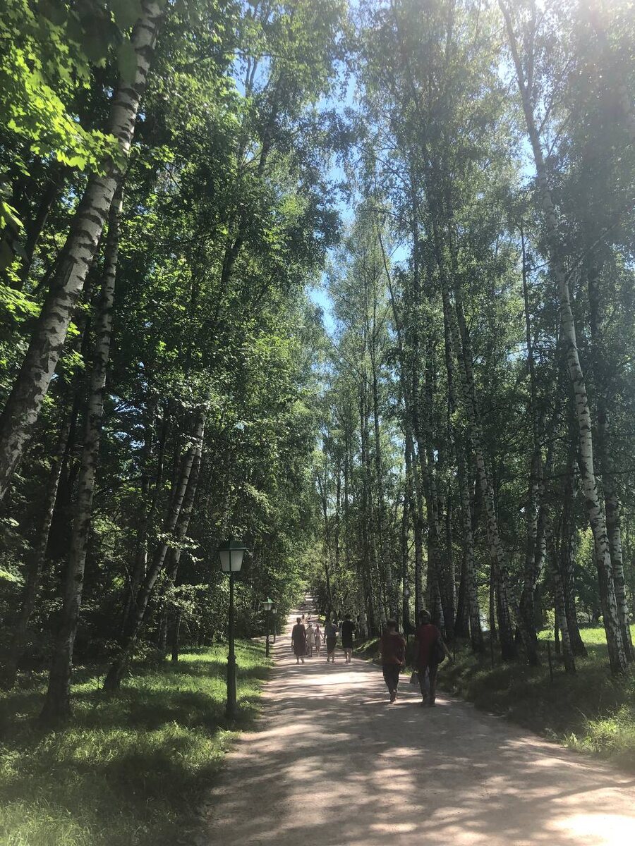 Тропа от пруда к дому Волонского.