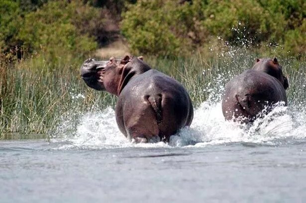 -Дальше нам не по пути...