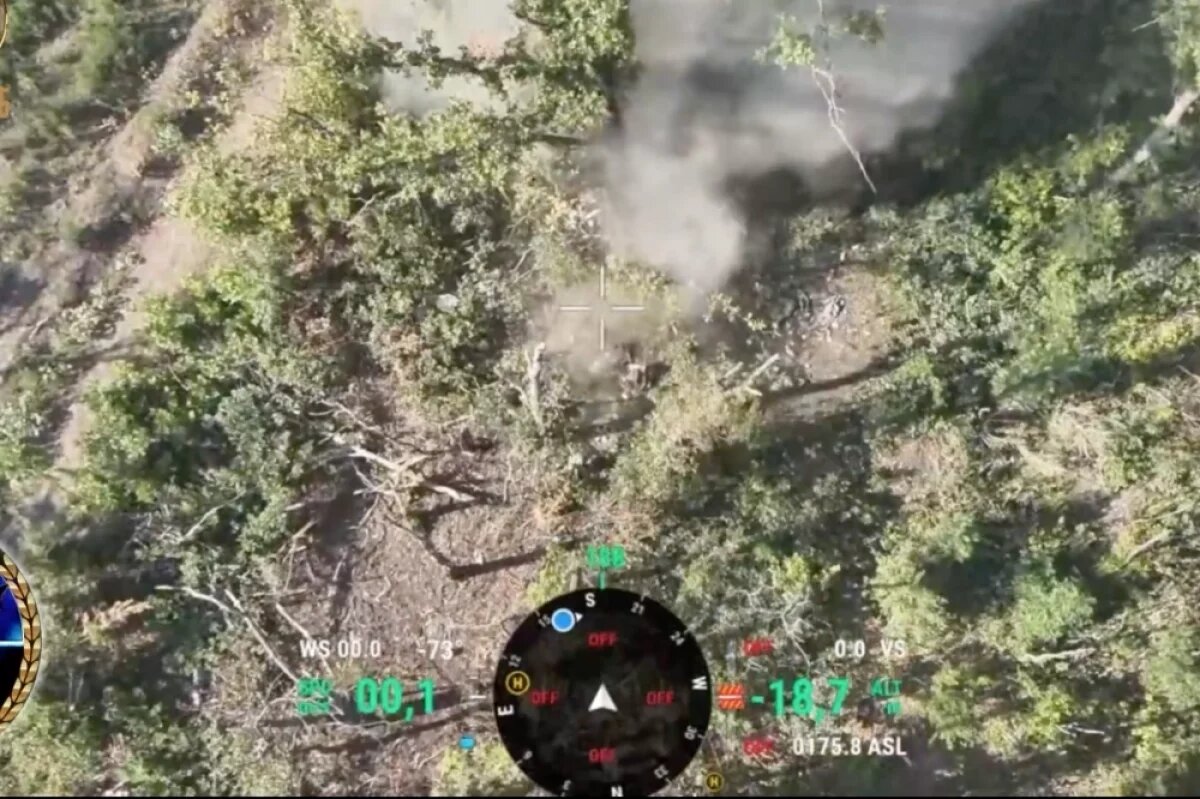    Спецназ «Ахмат» уничтожил системы Starlink и вооружение НАТО в Белогоровке