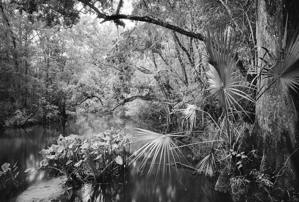    Фото:Clyde Butcher