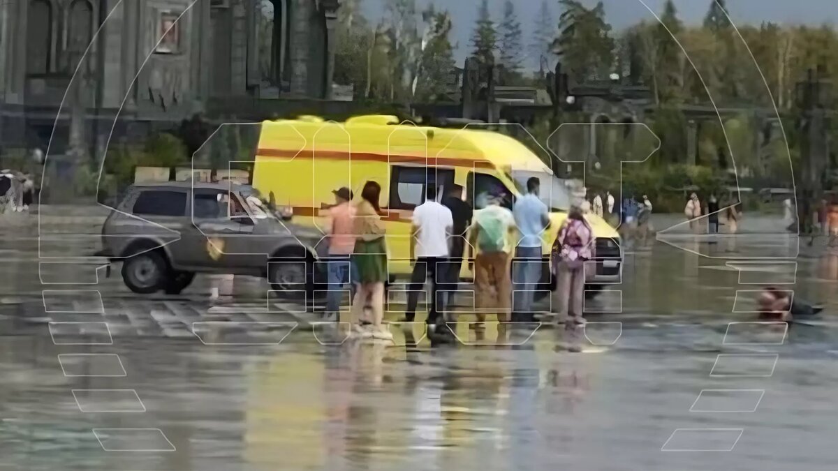     Источник: SHOT