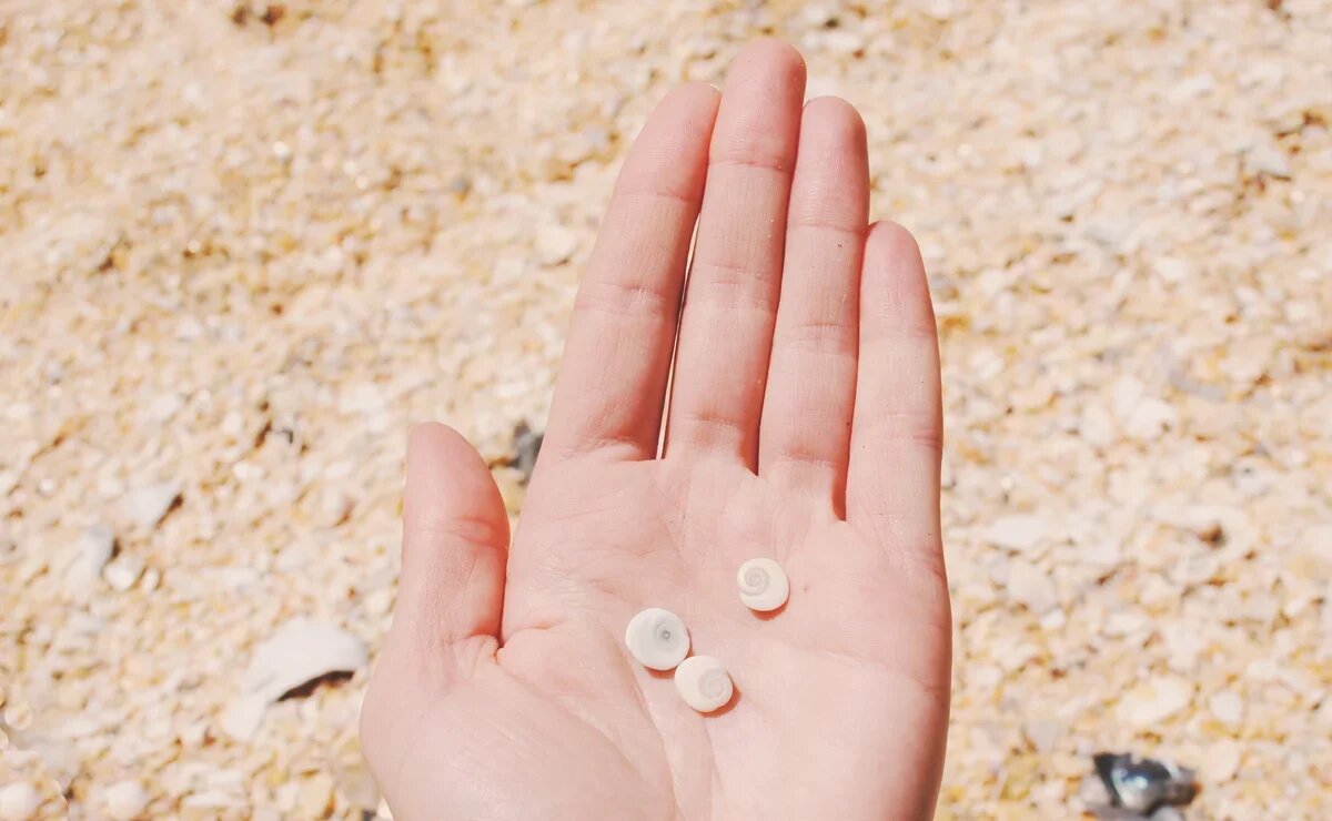    Эти сувениры с пляжа брать запрещено