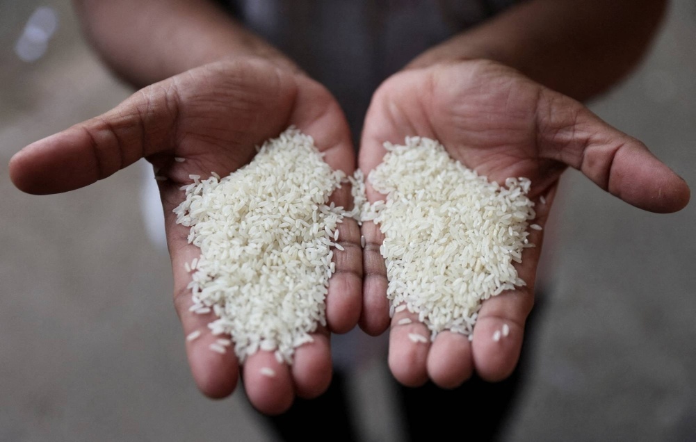 : rice in india