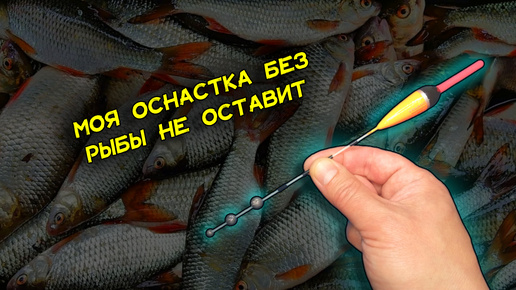 下载视频: Моя оснастка удочки лучше многих других. Продавцы об этом не скажут. Покажу секреты своей уловистой снасти. Подробная инструкция для всех