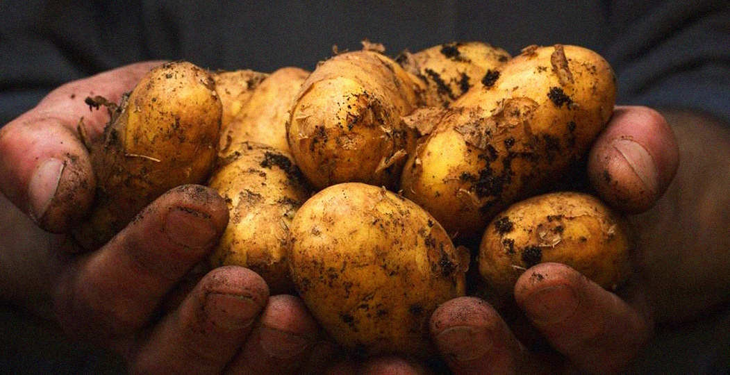 "Картошка для диабетика настоящая трагедия..." Как готовить, чтобы сахар в крови был не высоким? Отвечаю на этот и другие вопросы!