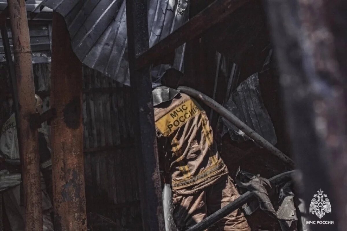    В Темрюкском районе загорелась ферма