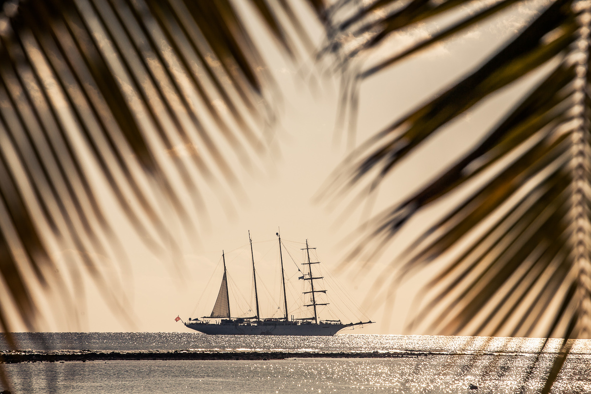 Star Clipper Foto Captain S. Tunikov