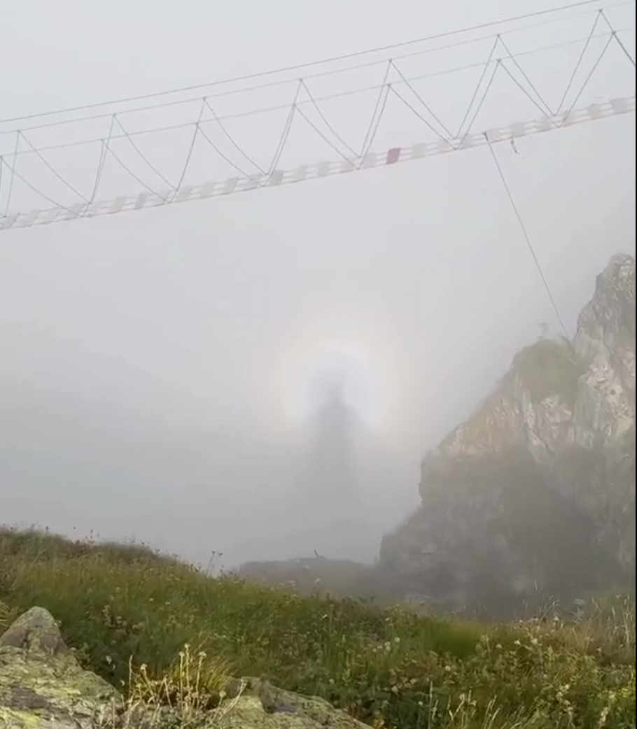 Фото: скриншот видео из соцсетей