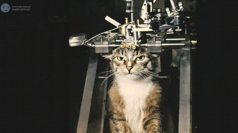 Скриншот из видеолекции И.Н. Пигарёва.