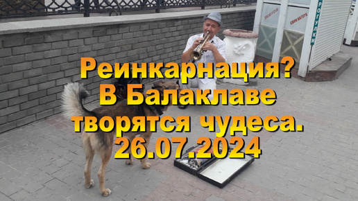 26.07.2024. Реинкарнация