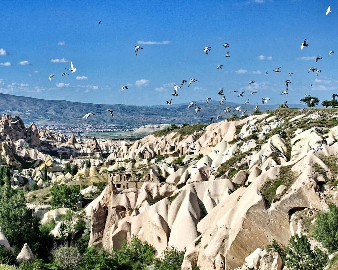 Долина Голубей