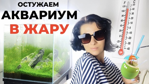 Как НЕ СВАРИТЬ РЫБОК в аквариуме? ОНИ ПОГИБНУТ если бездействовать!!! Оборудование, народные способы