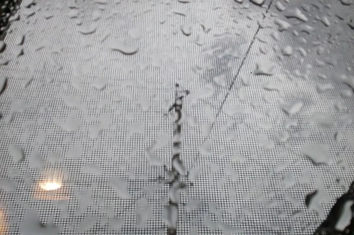    На неделе с 29 июля по 4 августа в Новосибирске ожидаются жара и дожди