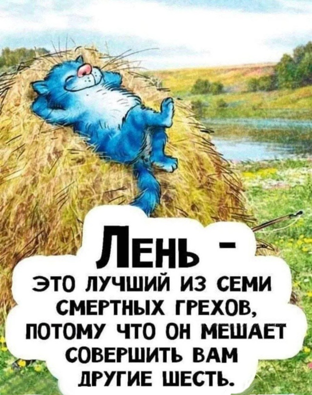 Кто соскучился по синим котам очаровательной Рины Зенюк?