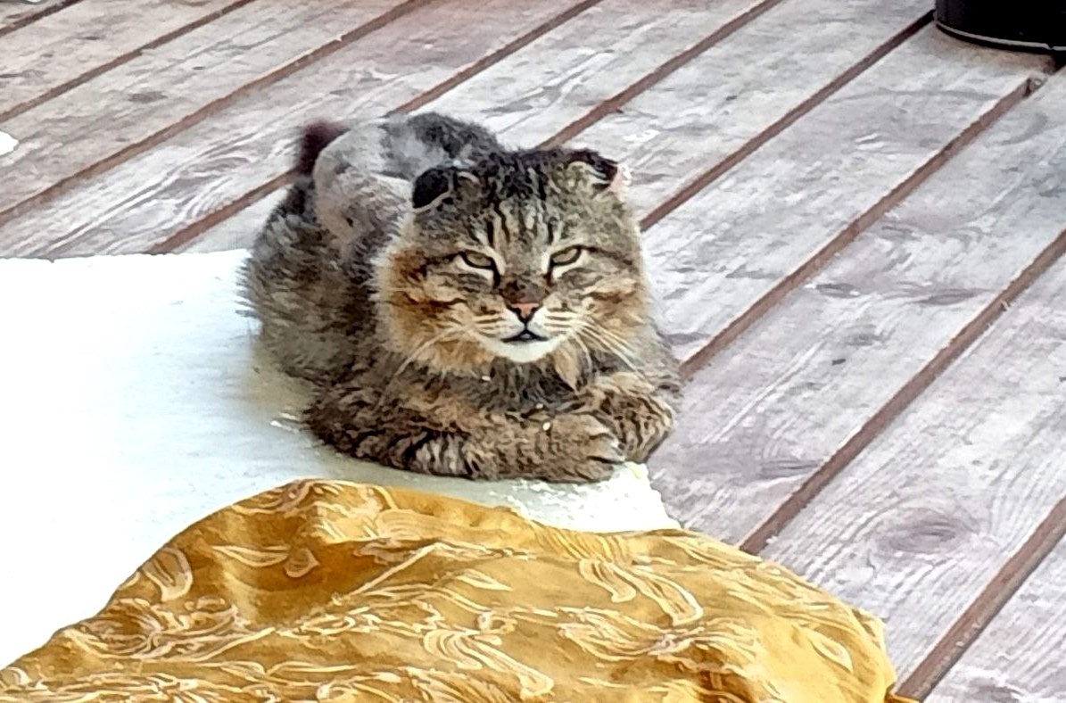 Еще и улыбается!)