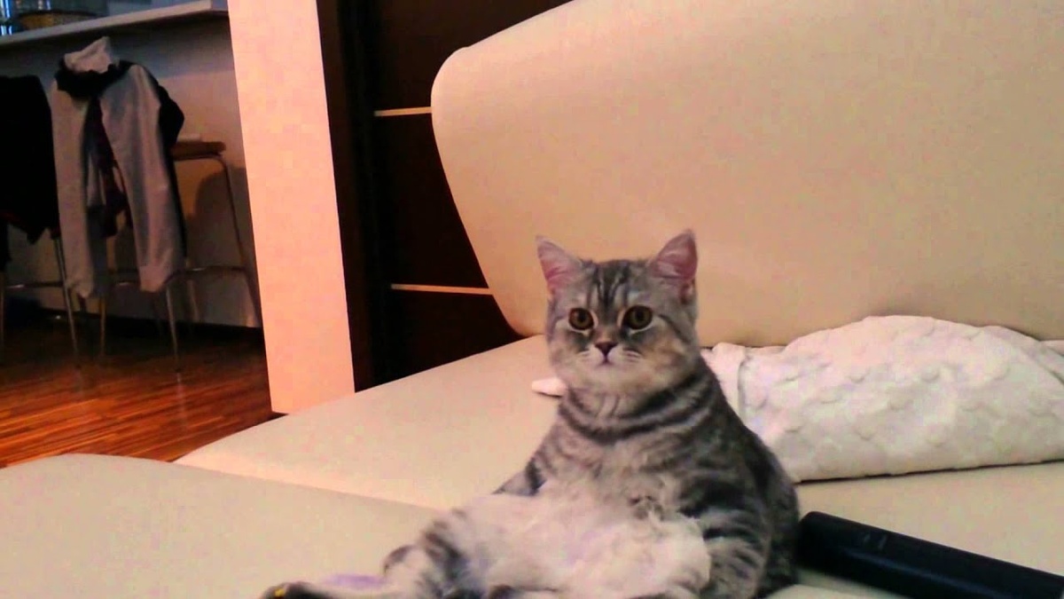 Фото из Интернета.