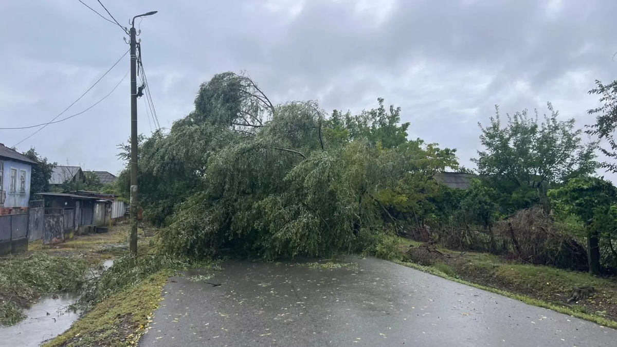 © Lagodekhi Municipality City Hall