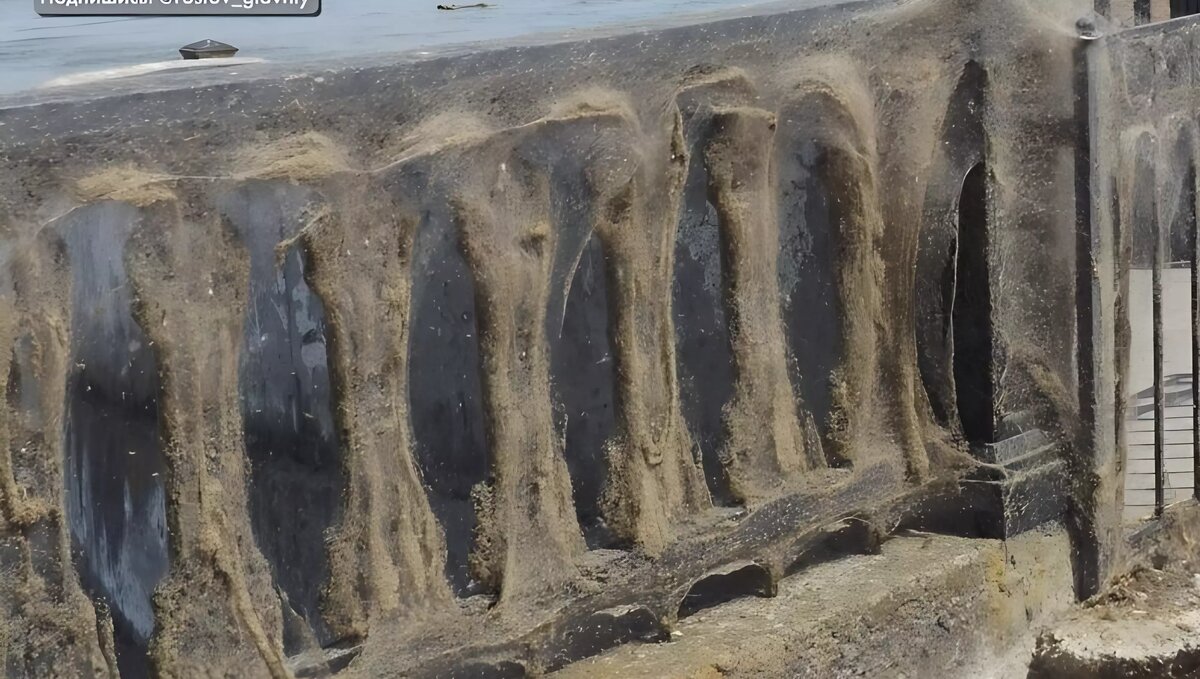     Источник: Телеграм-канал «Ростов Главный»