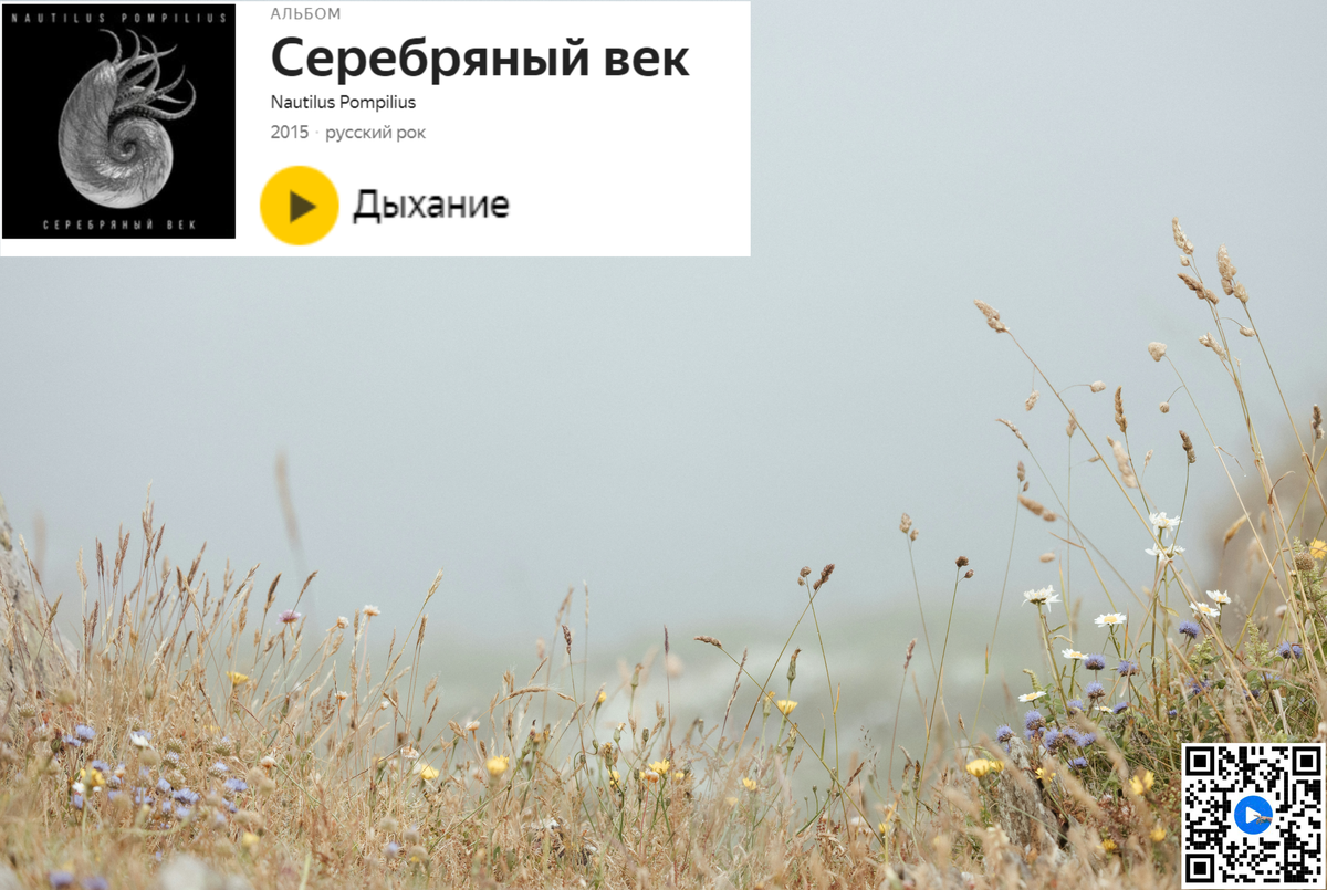 Источник фотографии сайт: https://unsplash.com/ 