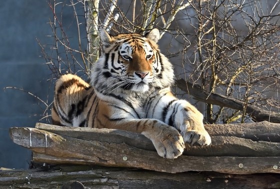    Праздники 29 июля 2024 года