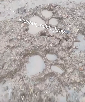    Источник фото: Скрин видео Телеграм-канала "Уссурийск - Михайловский район"