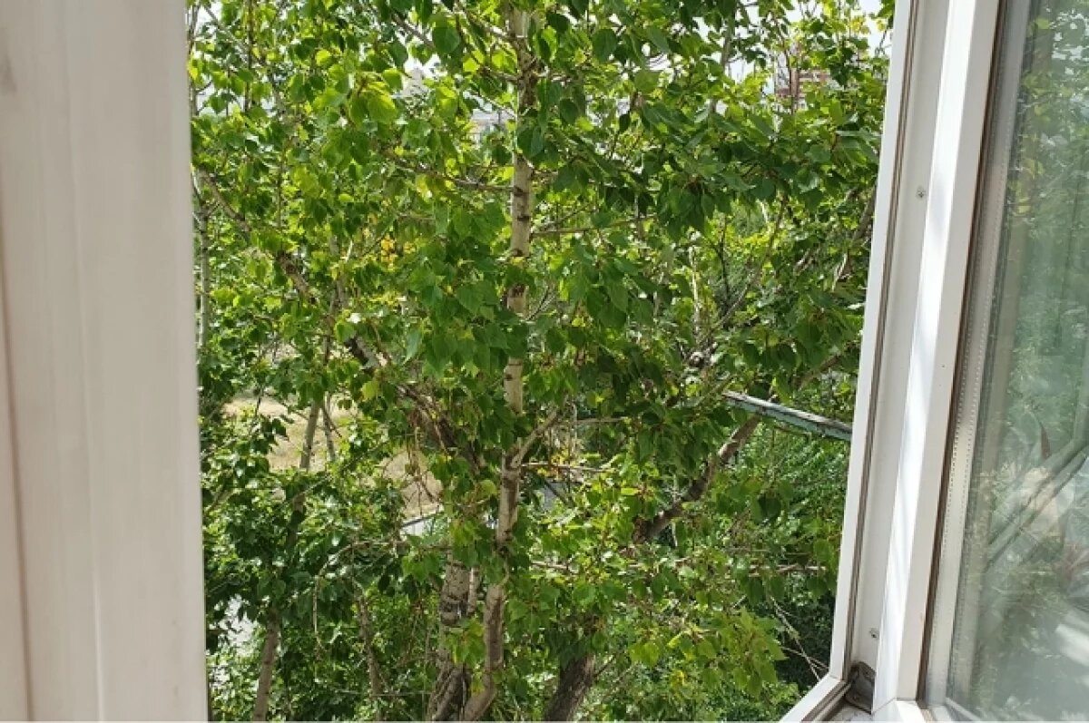    На Камчатке на отца выпавшего из окна ребенка возбудили уголовное дело