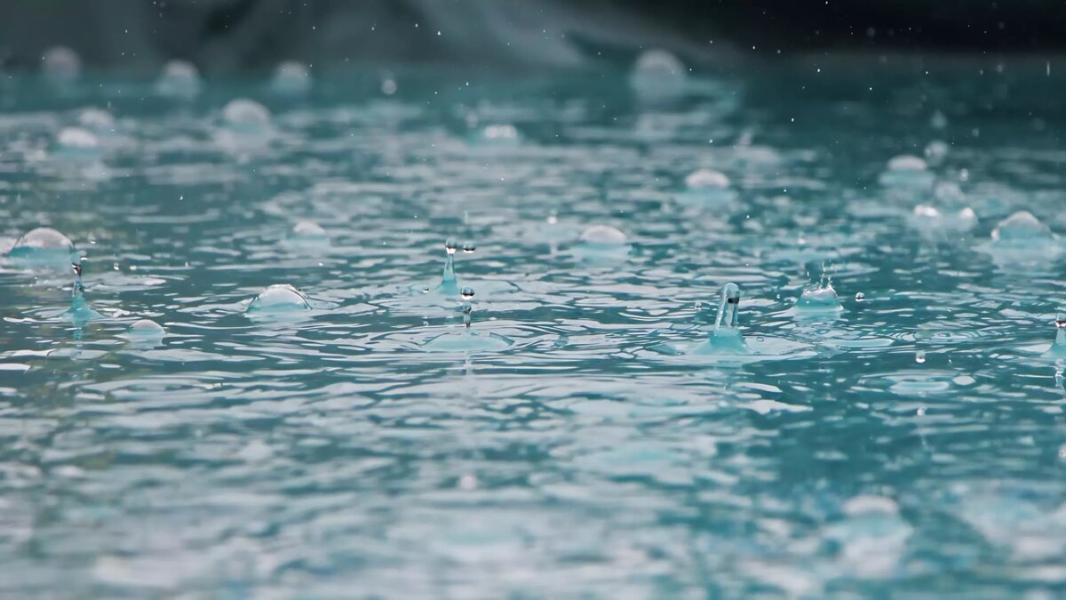     Источник: pxhere.com