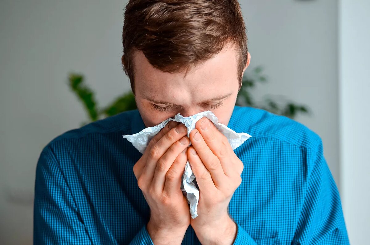    Depositphotos.com / Olga11Kan