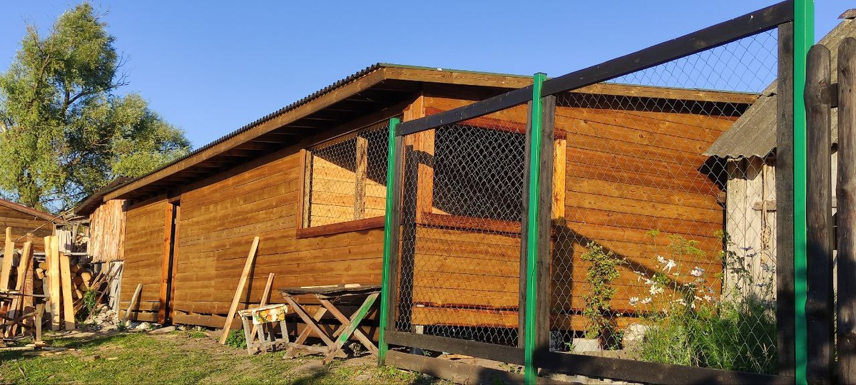 Окна веранды затянули сеткой рабицей.