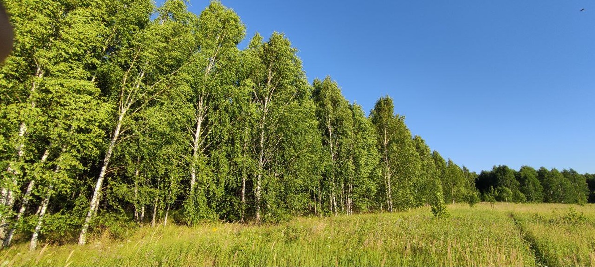 Это не тупик – это путь. Фото автора