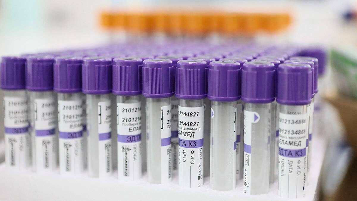    Фото: Софья Сандурская / АГН Москва