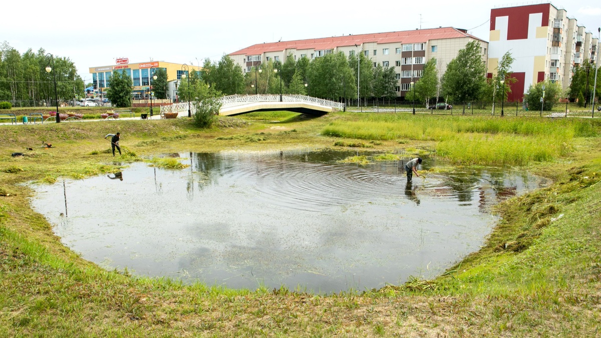    В Сургутском районе приступили к очистке водоёмов