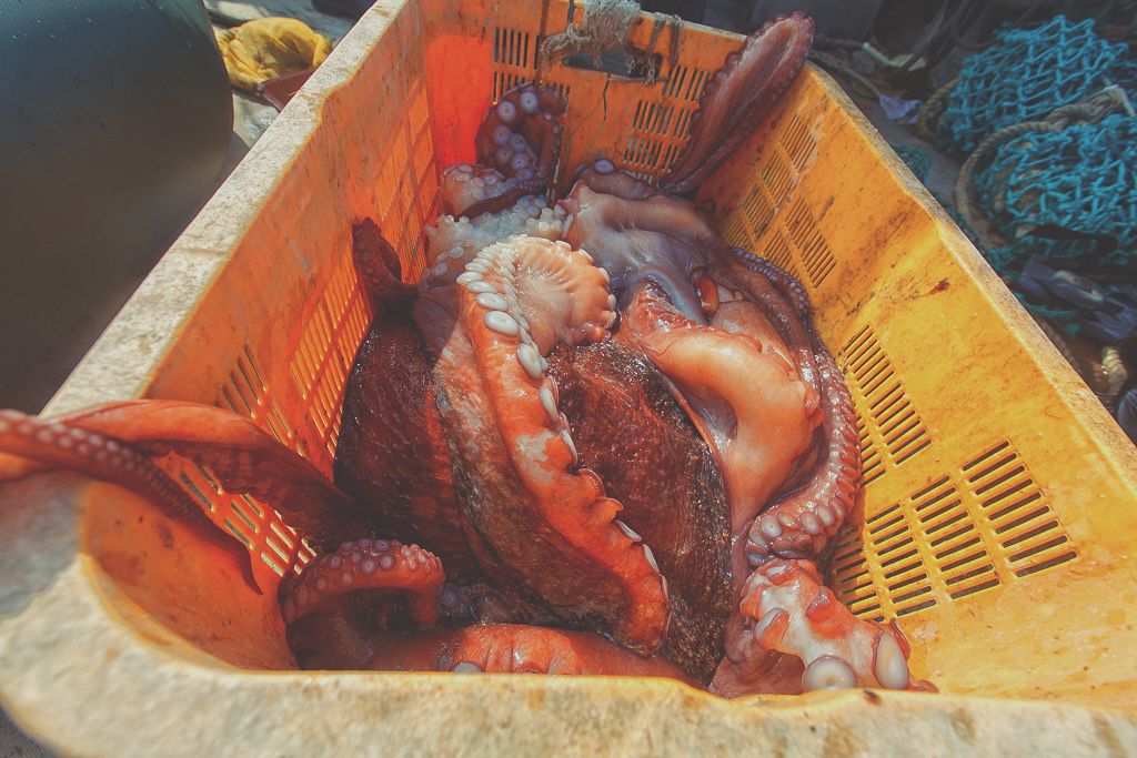 источник alexhitrov.livejournal.com