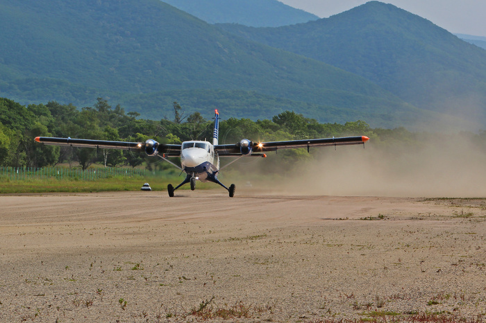 источник pikabu.ru