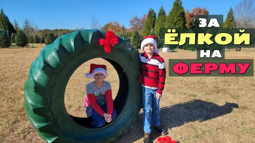 [Архивное видео] США В поисках свежей ёлки в Южной Каролине / Рождественская ферма в Америке, куда нас привел Гугл
