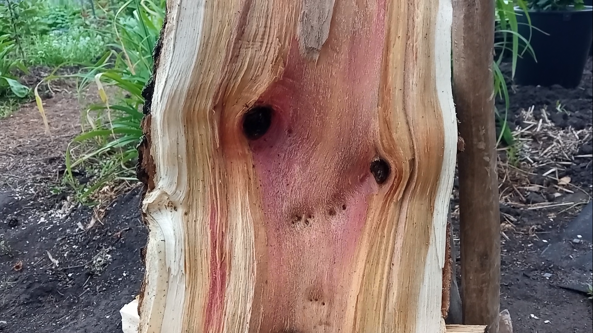 ЭКСПРЕССИОНИЗМ