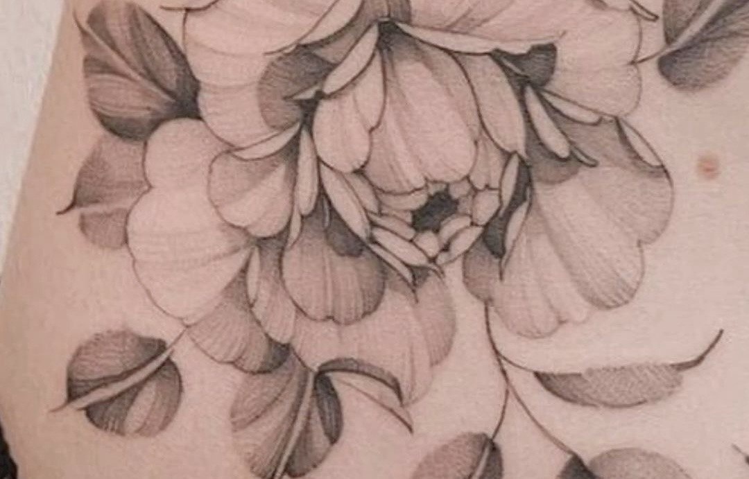 пример техники whip shaiding