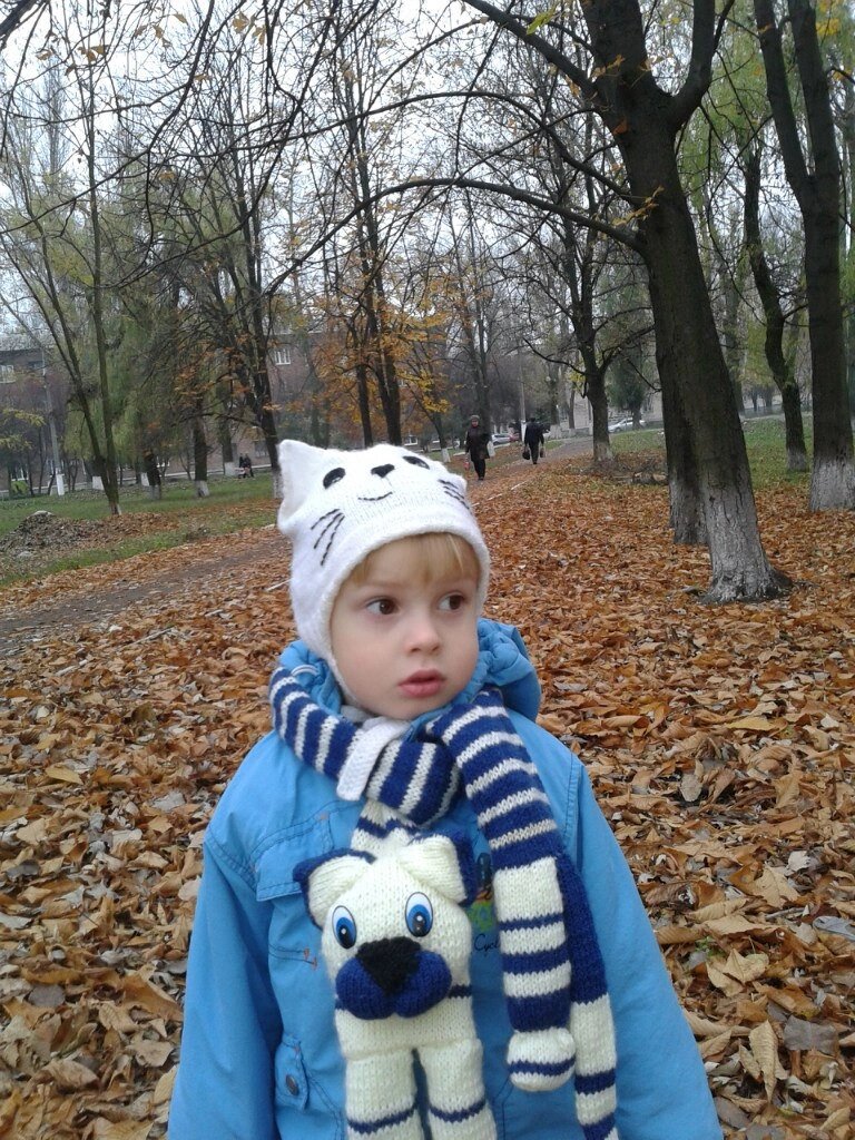 Дорога в сад. 2013 год