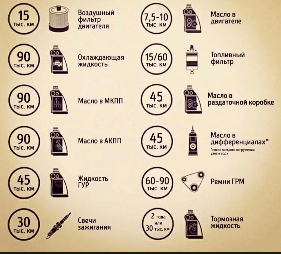 Фото из интернета