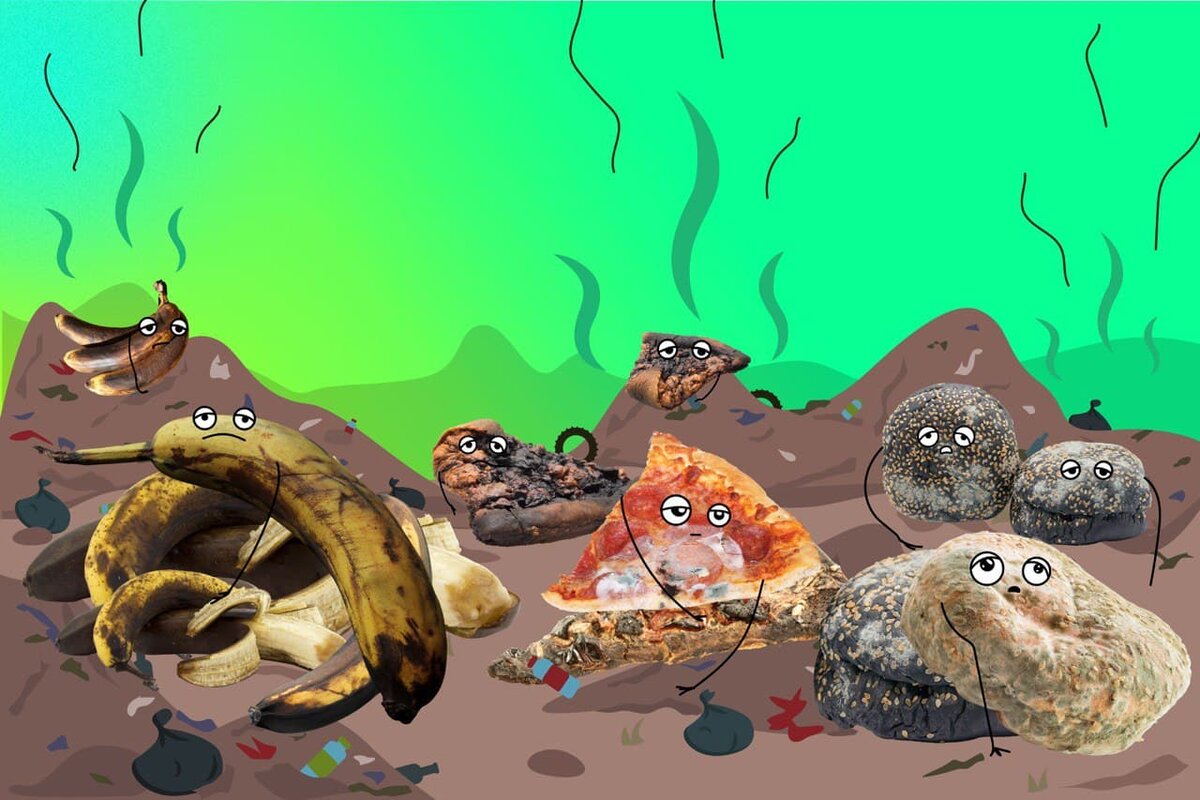 На полигоны и свалки привозят 94% пищевых отходов, которые выделяют 2,4 миллиона тонн метана – парникового газа