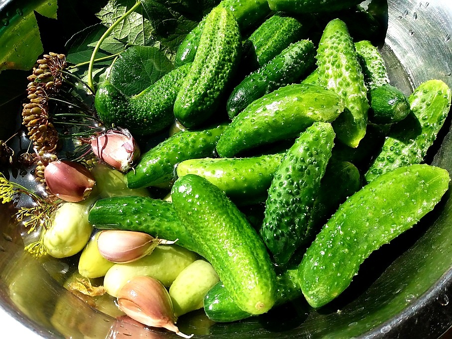 Мне проще законсервировать пару баночек между делом, чем возиться большими объёмами.